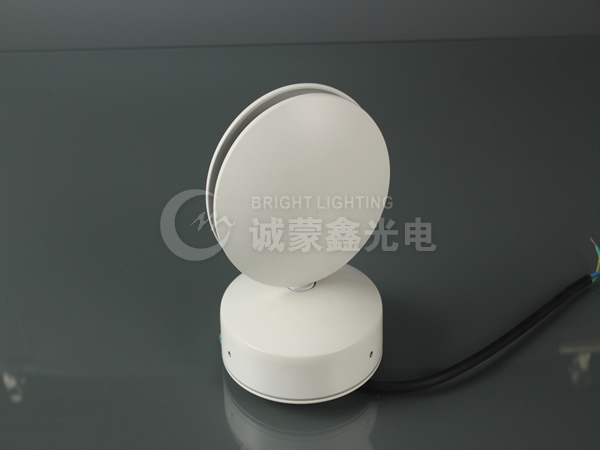 LED step light